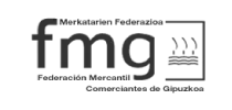 fmg-logo